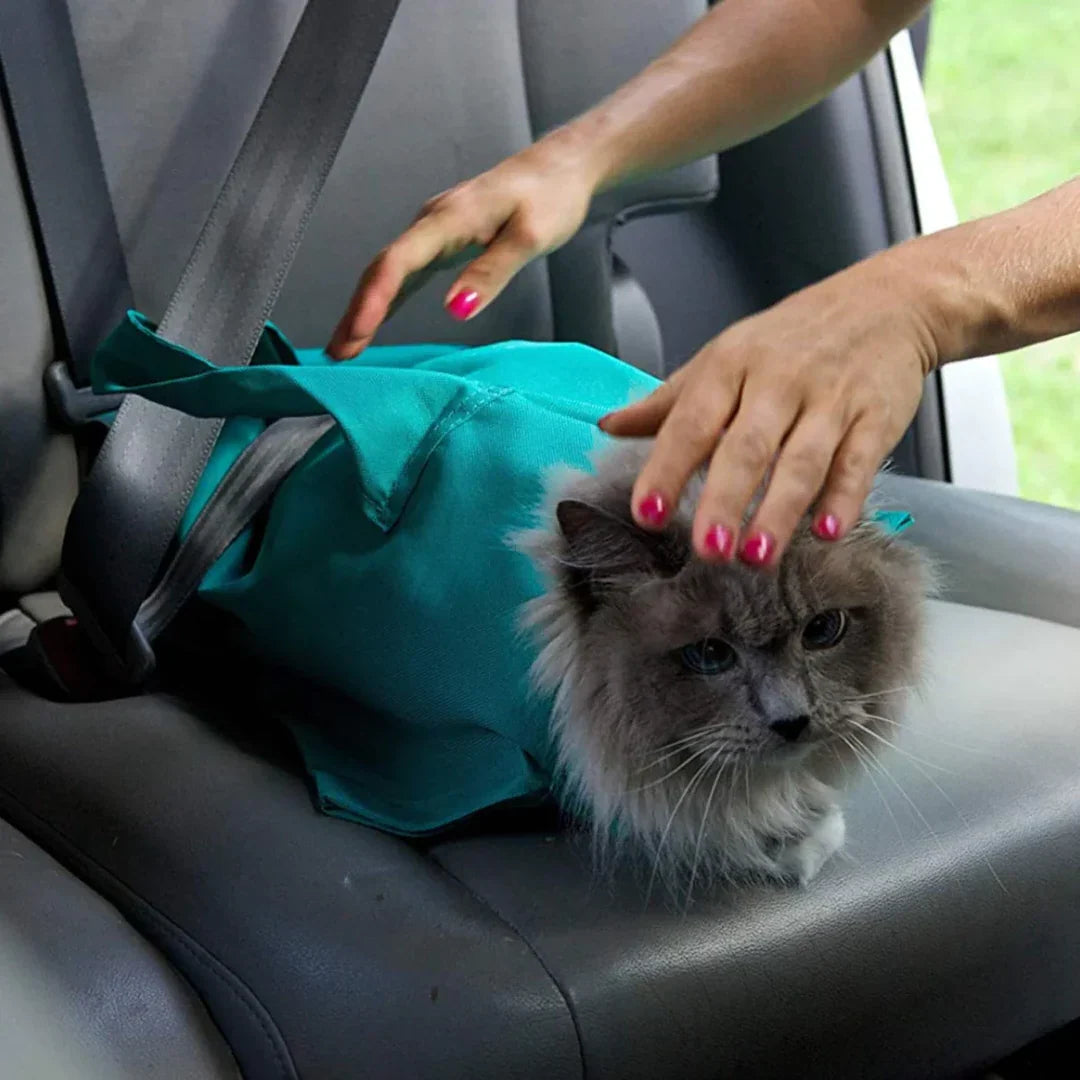 CatPouch™ För en stressfri upplevelse med varje behandling!