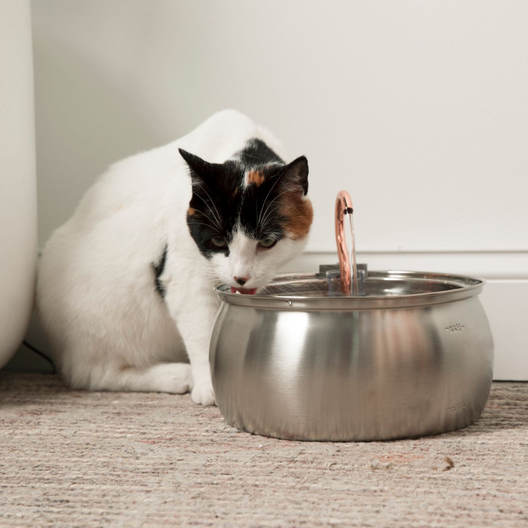 CatFountain™ | Alltid färskvatten till din katt, varje klunk är uppfriskande!