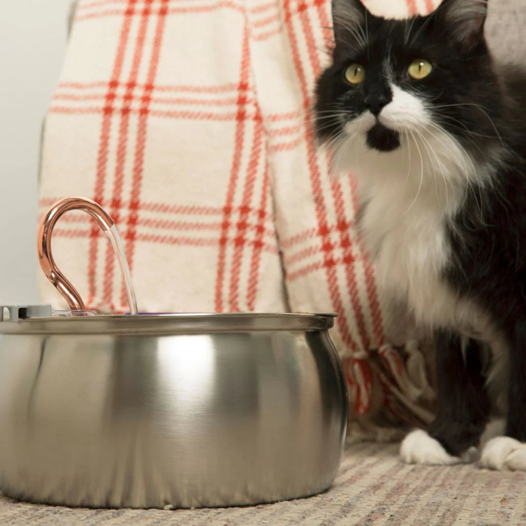 CatFountain™ | Alltid färskvatten till din katt, varje klunk är uppfriskande!