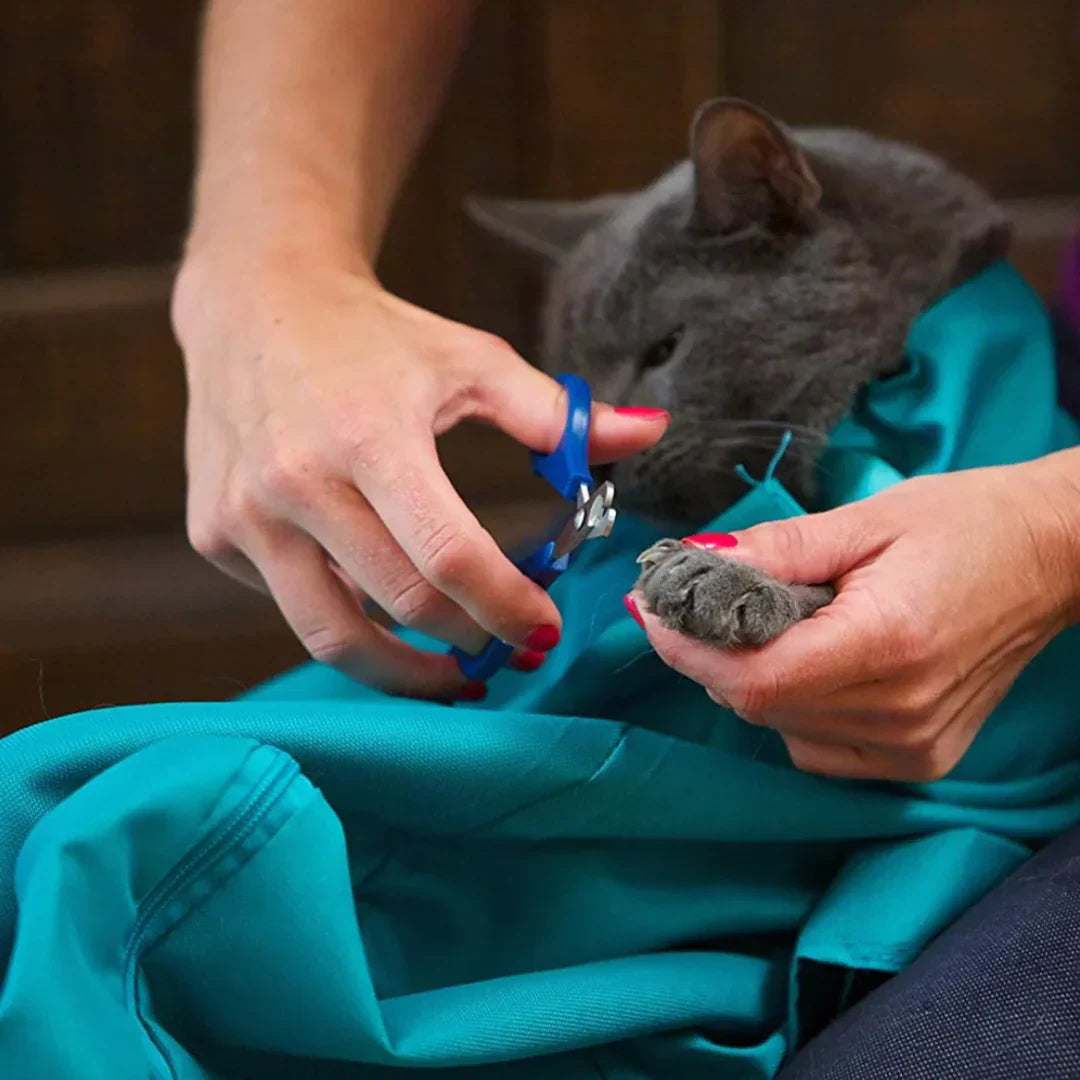 CatPouch™ För en stressfri upplevelse med varje behandling!