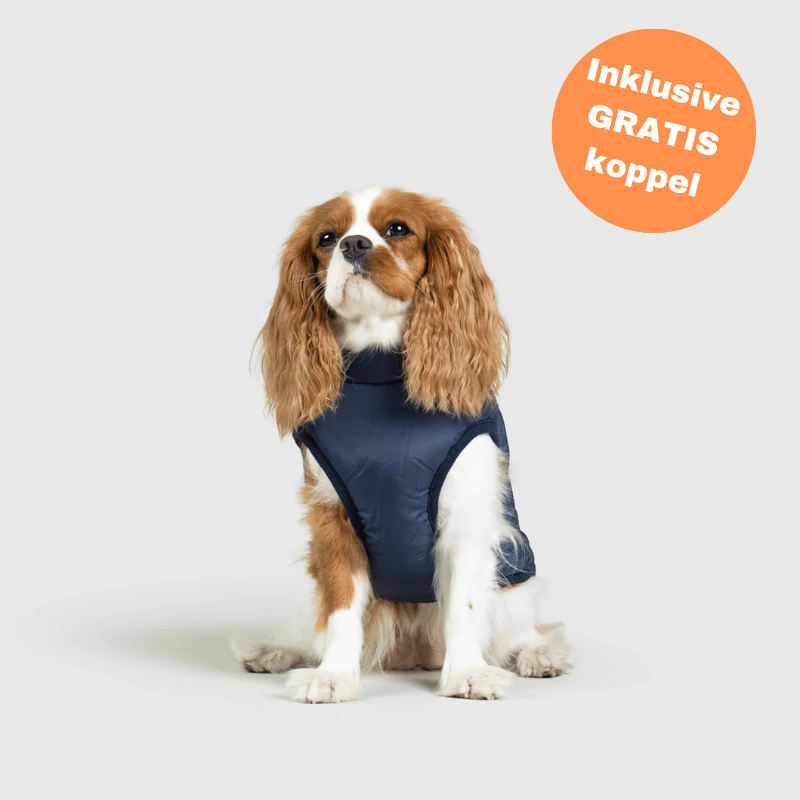 FluffyFit™ | Skydda din hund från de kalla höst- och vinterdagarna!